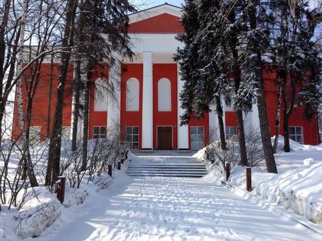 Театр РОСТА в Царицыно