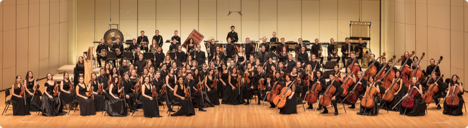 Оркестр РНМСО